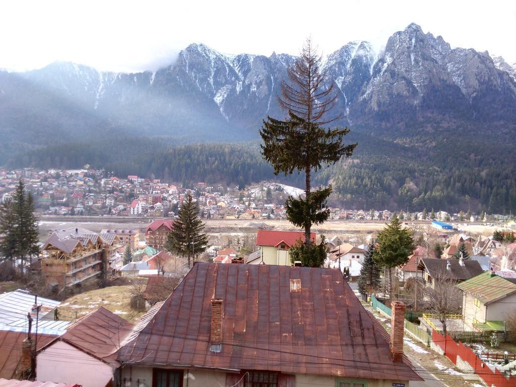 Vila Marcela Buşteni Pokoj fotografie