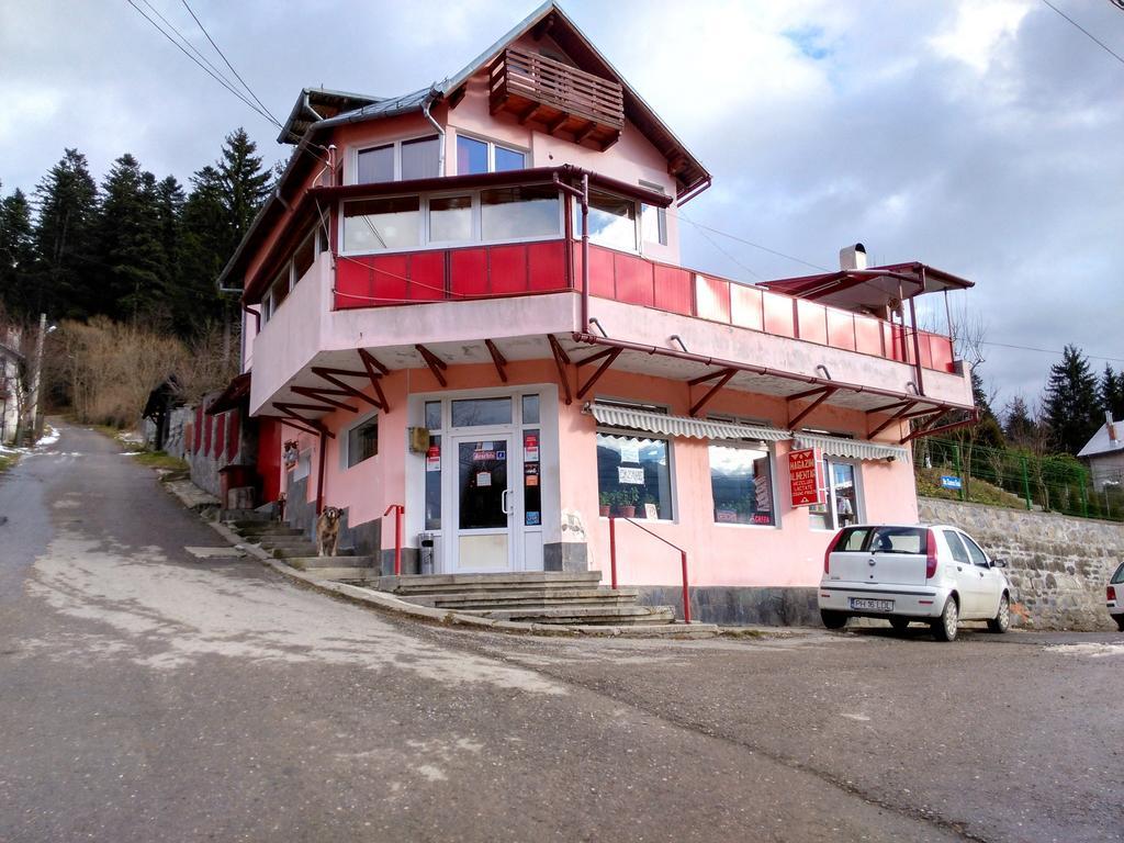Vila Marcela Buşteni Exteriér fotografie