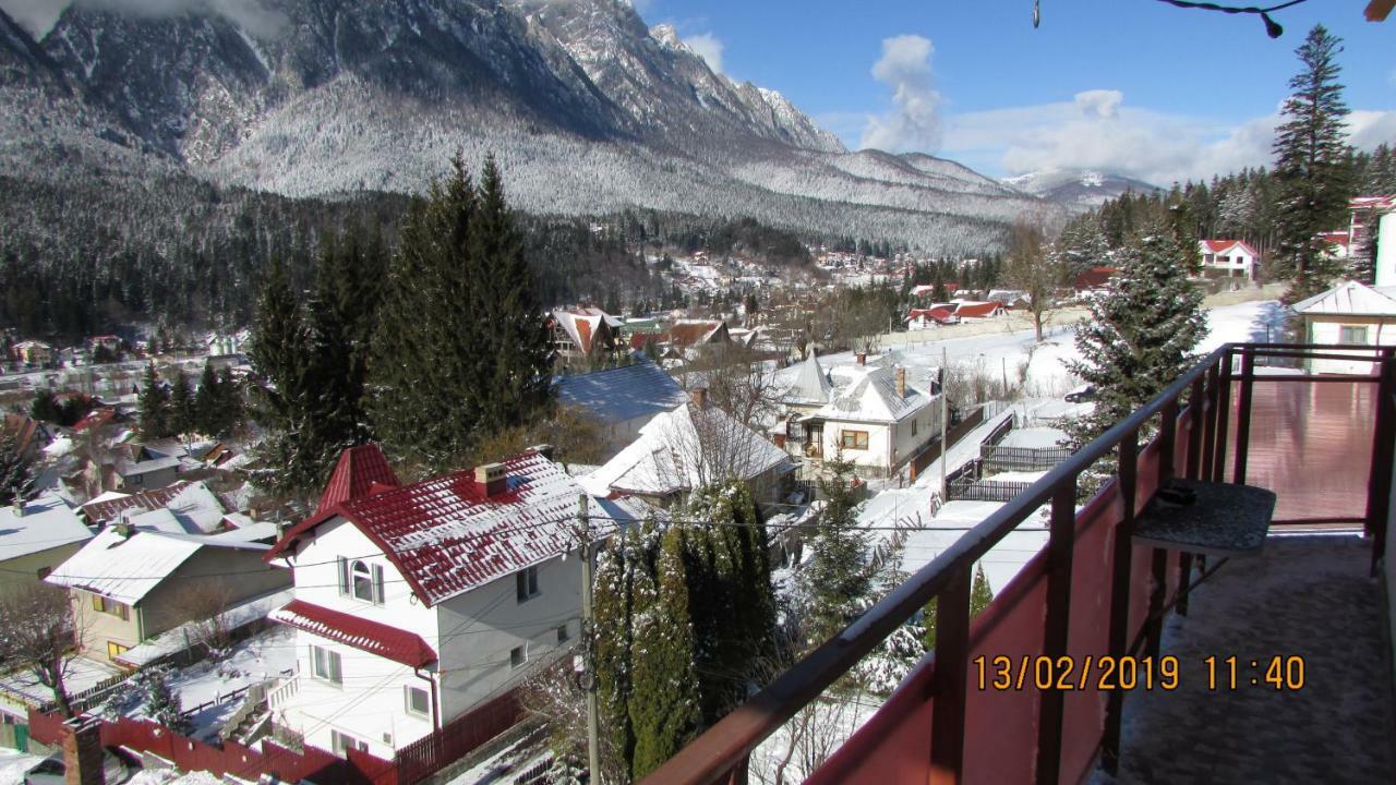 Vila Marcela Buşteni Exteriér fotografie